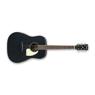 Ibanez PF14 WK Acoustic Guitar