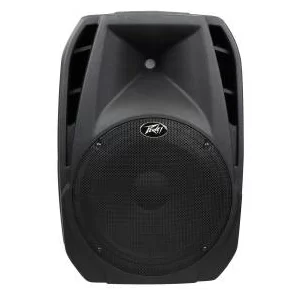Peavey PBK-15 2-Way Speaker