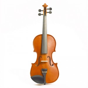 Stentor 1018A Student Standard Outfit 4/4 violin