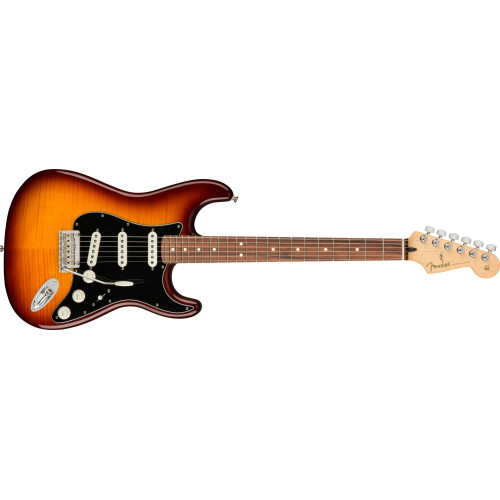 Fender Player Stratocaster Plus Top Electric Guitar - Pau Ferro Fretboard
