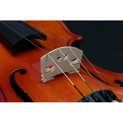 Stentor 1018A Student Standard Outfit 4/4 Violin - Perfect for Beginner Musicians | Stentor