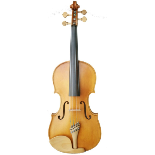 Carlos Marshello Hand Made Designer Violin CDV-500