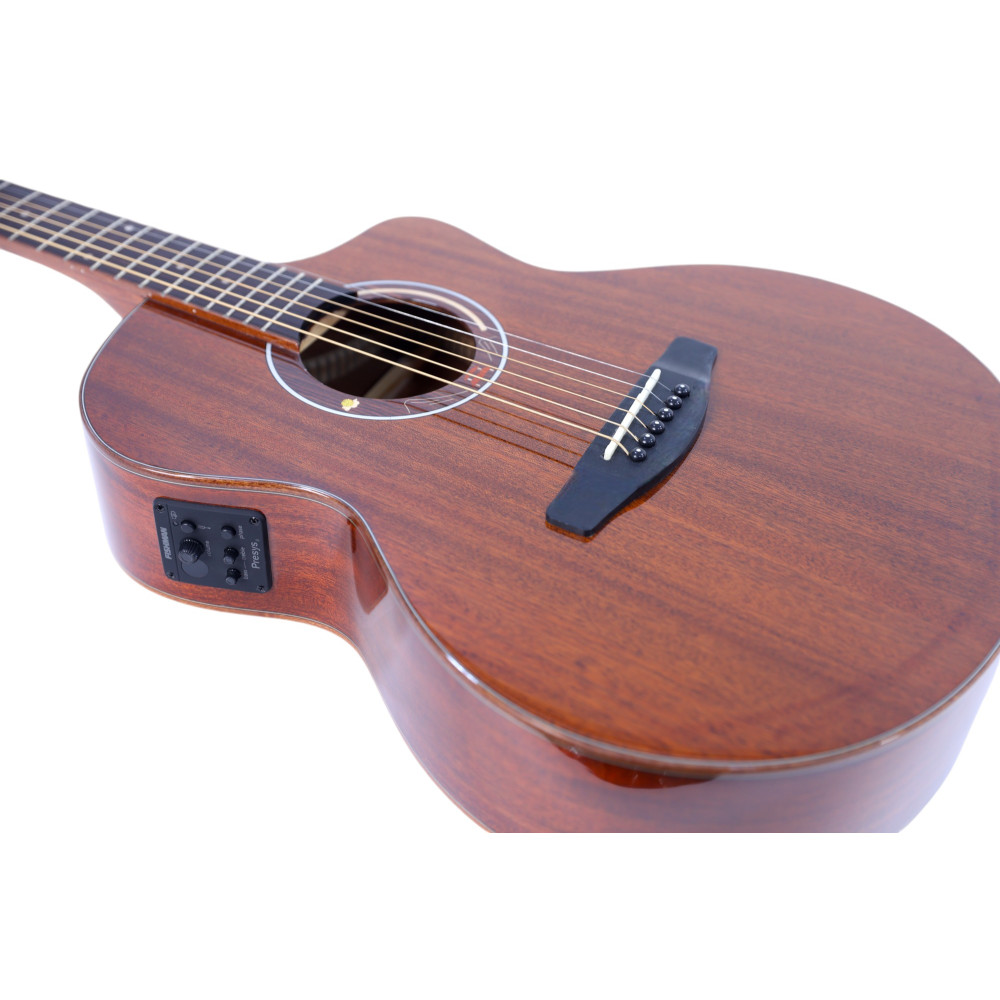 Carlos Marshello CSM38-AMH/P Semi-Acoustic Guitar