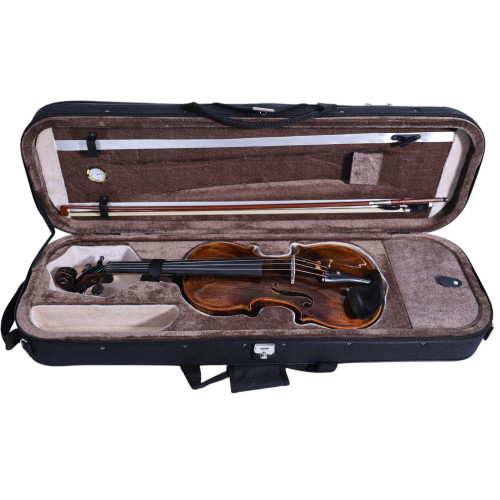 "Carlos Marshello MV600D Premium Violin | High-Quality Violin for Sale Online"
