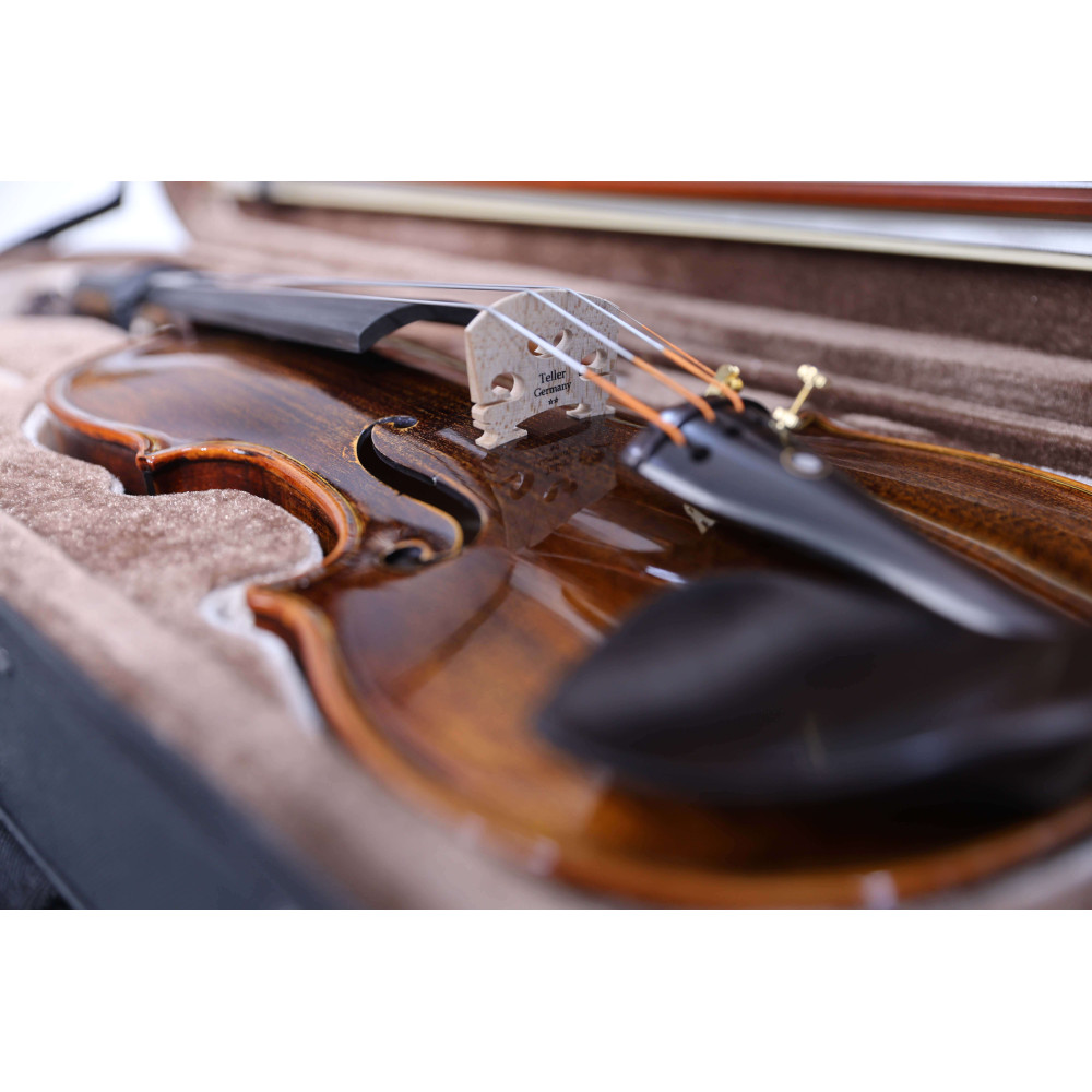 "Carlos Marshello MV600D Premium Violin | High-Quality Violin for Sale Online"