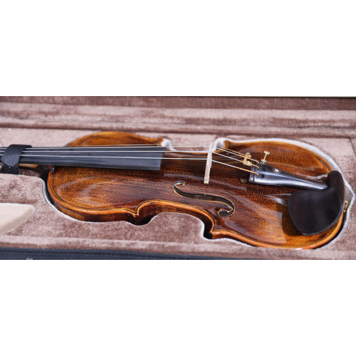 "Carlos Marshello MV600D Premium Violin | High-Quality Violin for Sale Online"