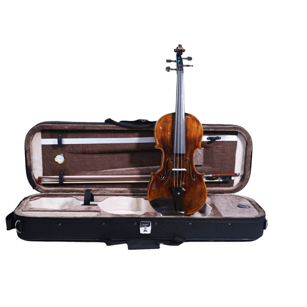 "Carlos Marshello MV600D Premium Violin | High-Quality Violin for Sale Online"