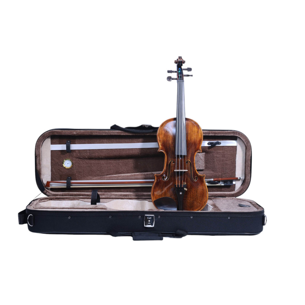 "Carlos Marshello MV600D Premium Violin | High-Quality Violin for Sale Online"