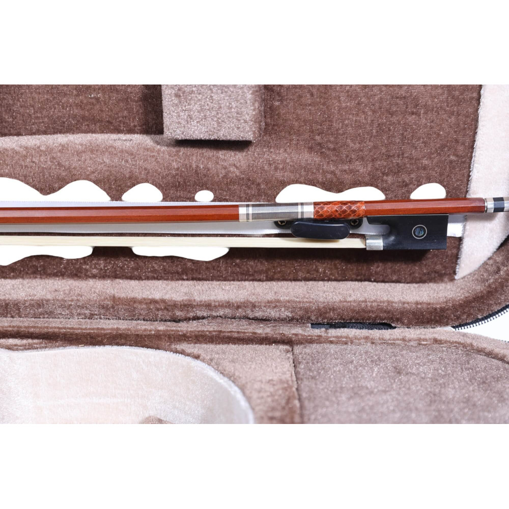 "Carlos Marshello MV600D Premium Violin | High-Quality Violin for Sale Online"