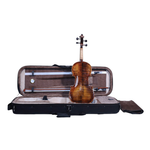 "Carlos Marshello MV600D Premium Violin | High-Quality Violin for Sale Online"