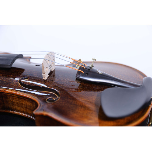 "Carlos Marshello MV600D Premium Violin | High-Quality Violin for Sale Online"
