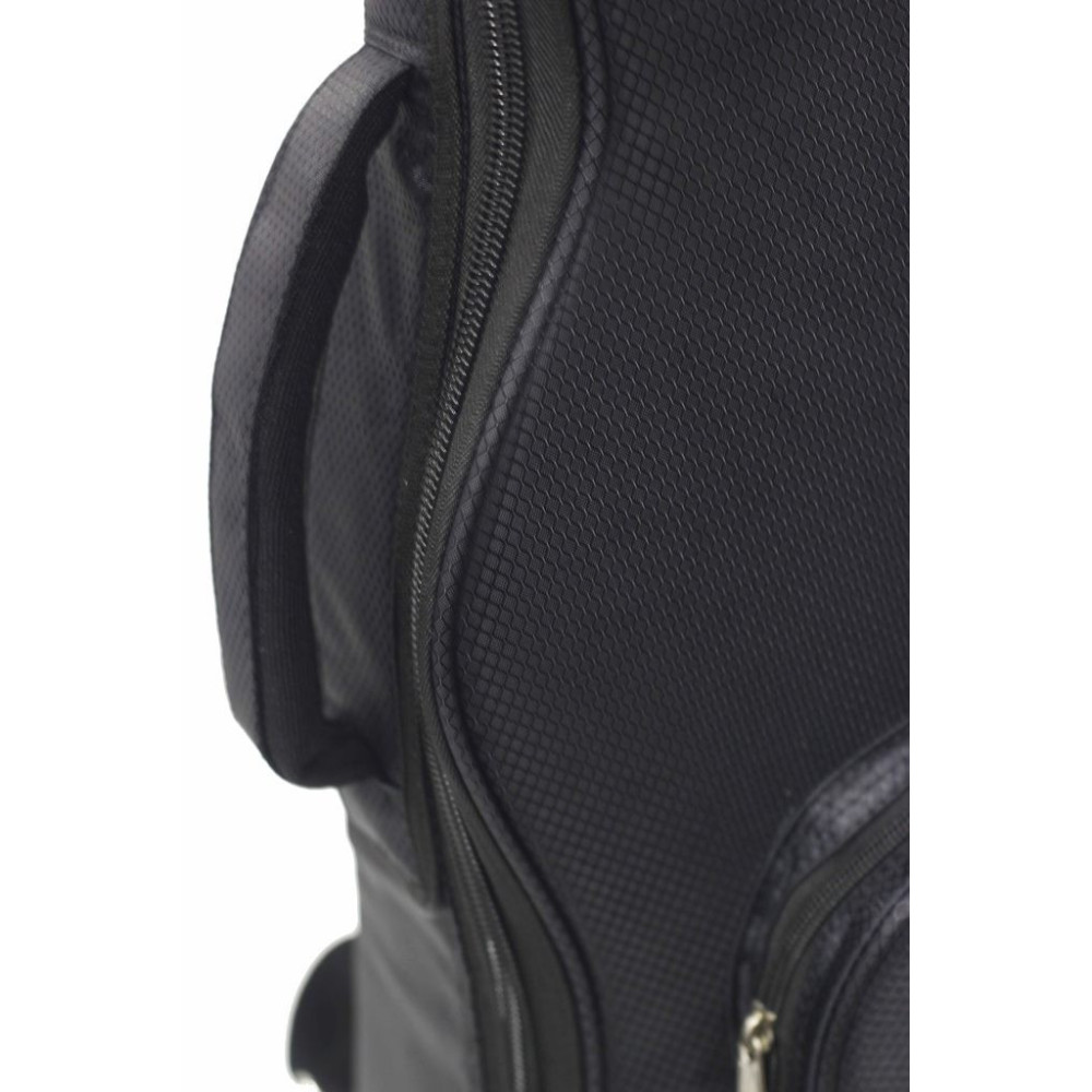 Fancy Acoustic Guitar: Best Price in India