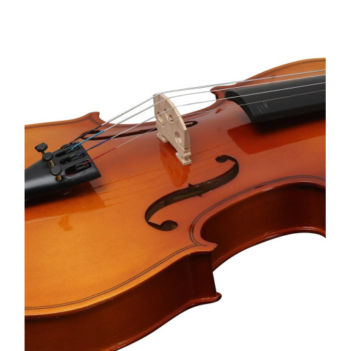 Procraft PR VS1 Violin Natural Colour for Best Price in India