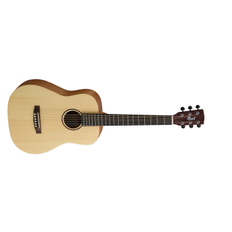 Cort Earth Mini Acoustic Guitar for Best Price in India