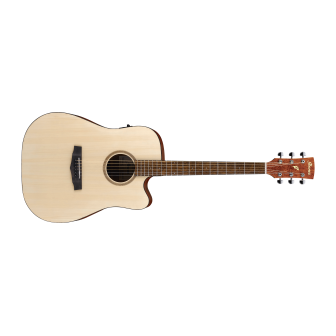 Ibanez PF10CE Semi Acoustic Guitar for Best Price in India