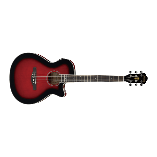 Ibanez AEG8E Semi Acoustic Guitar for Best Price in India