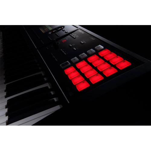 Roland FA06 Workstation Keyboard for Best Price in India