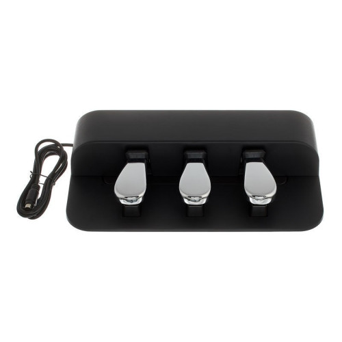 Casio SP34 Sustain Pedal Unit for Best Price in India
