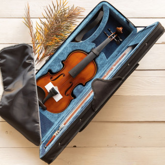 Estevam ESV-I 4/4 Violin