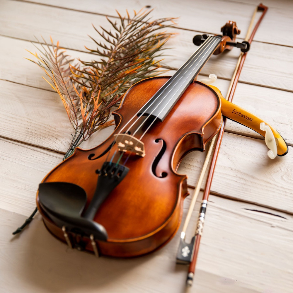 Estevam ESV-I 4/4 Violin