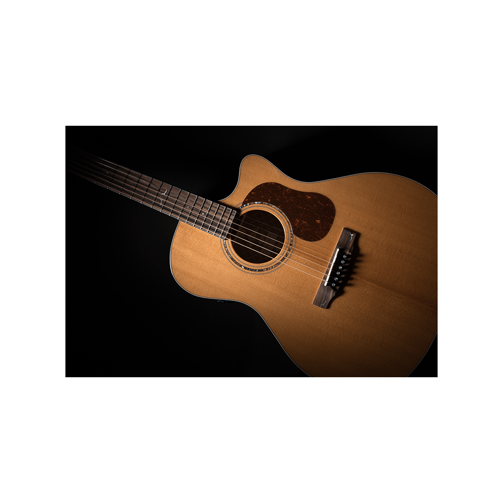 Cort GOLD Series A6 Electroc Acoustic Guitar – Get Rich Tone with Superior Playability
