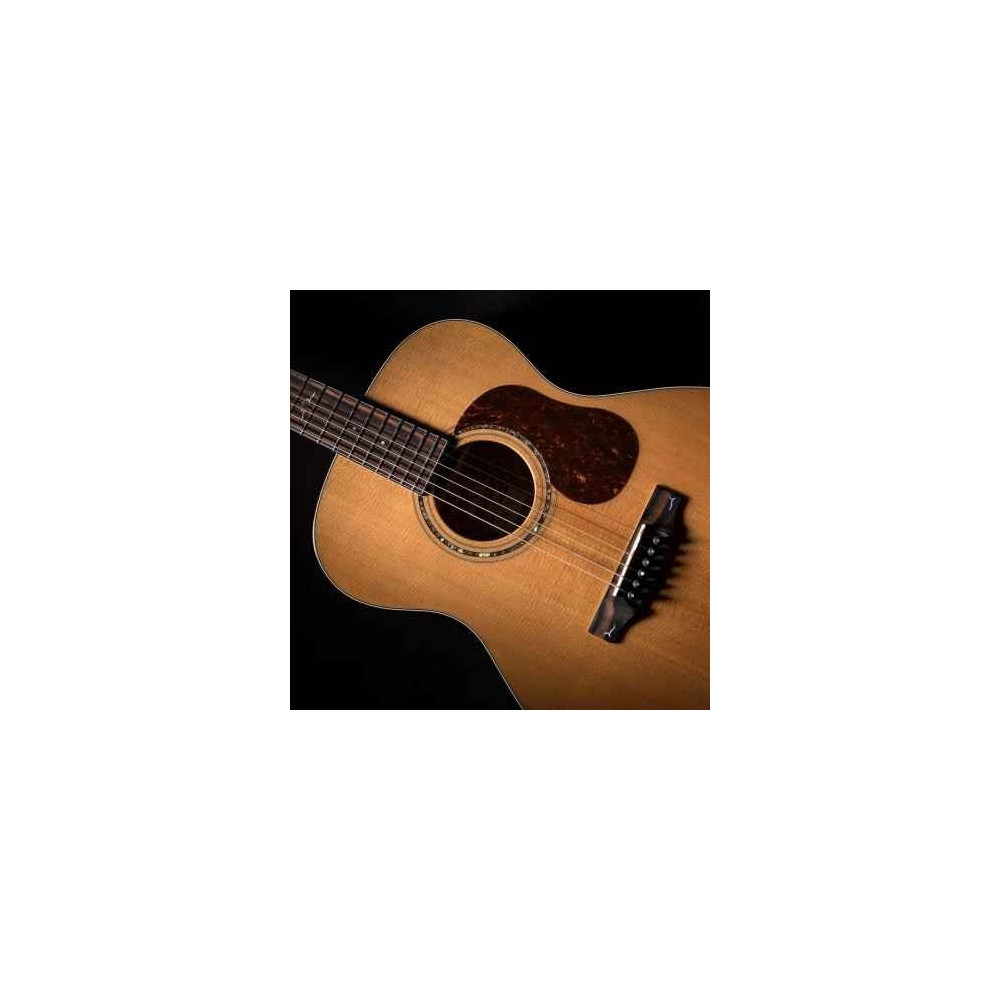 Cort GOLD Series O6 Acoustic Guitar | Professional Quality Tone