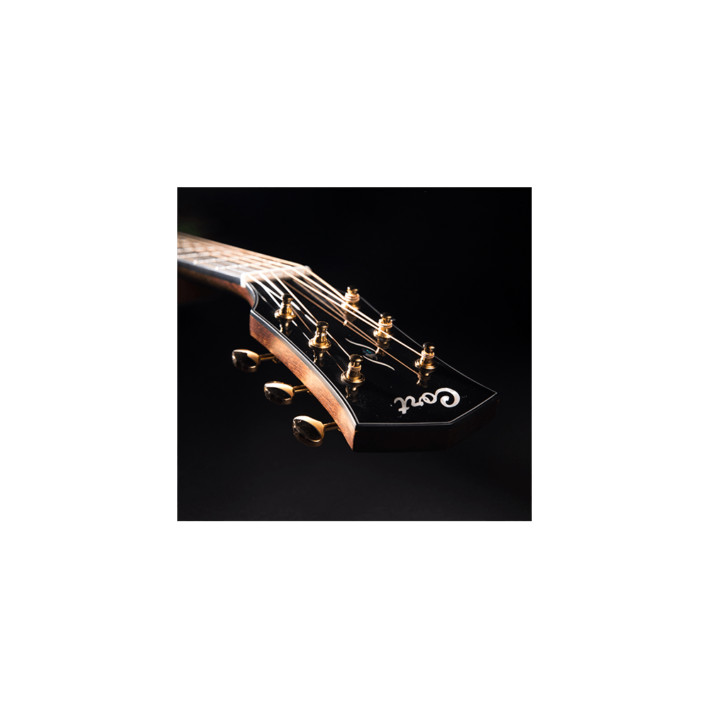 Cort GOLD Series D6 Acoustic Guitar | Tone of Quality & Affordability
