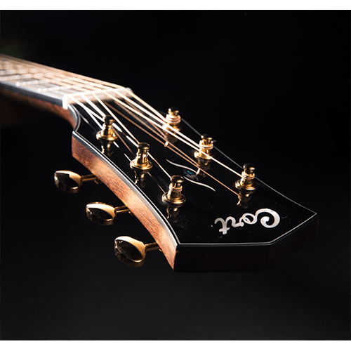 Cort GOLD Series D6 Acoustic Guitar | Tone of Quality & Affordability