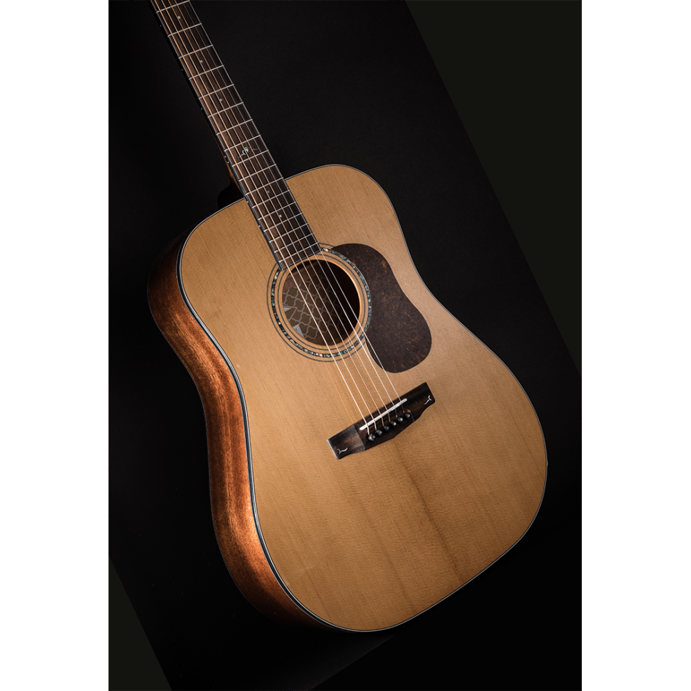 Cort GOLD Series D6 Acoustic Guitar | Tone of Quality & Affordability