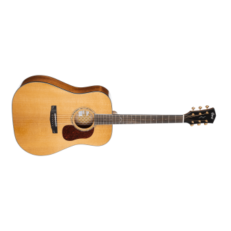 Cort GOLD Series D6 Acoustic Guitar | Tone of Quality & Affordability
