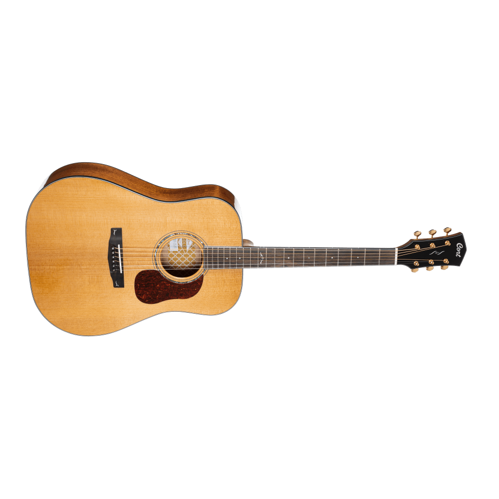 Cort GOLD Series D6 Acoustic Guitar | Tone of Quality & Affordability
