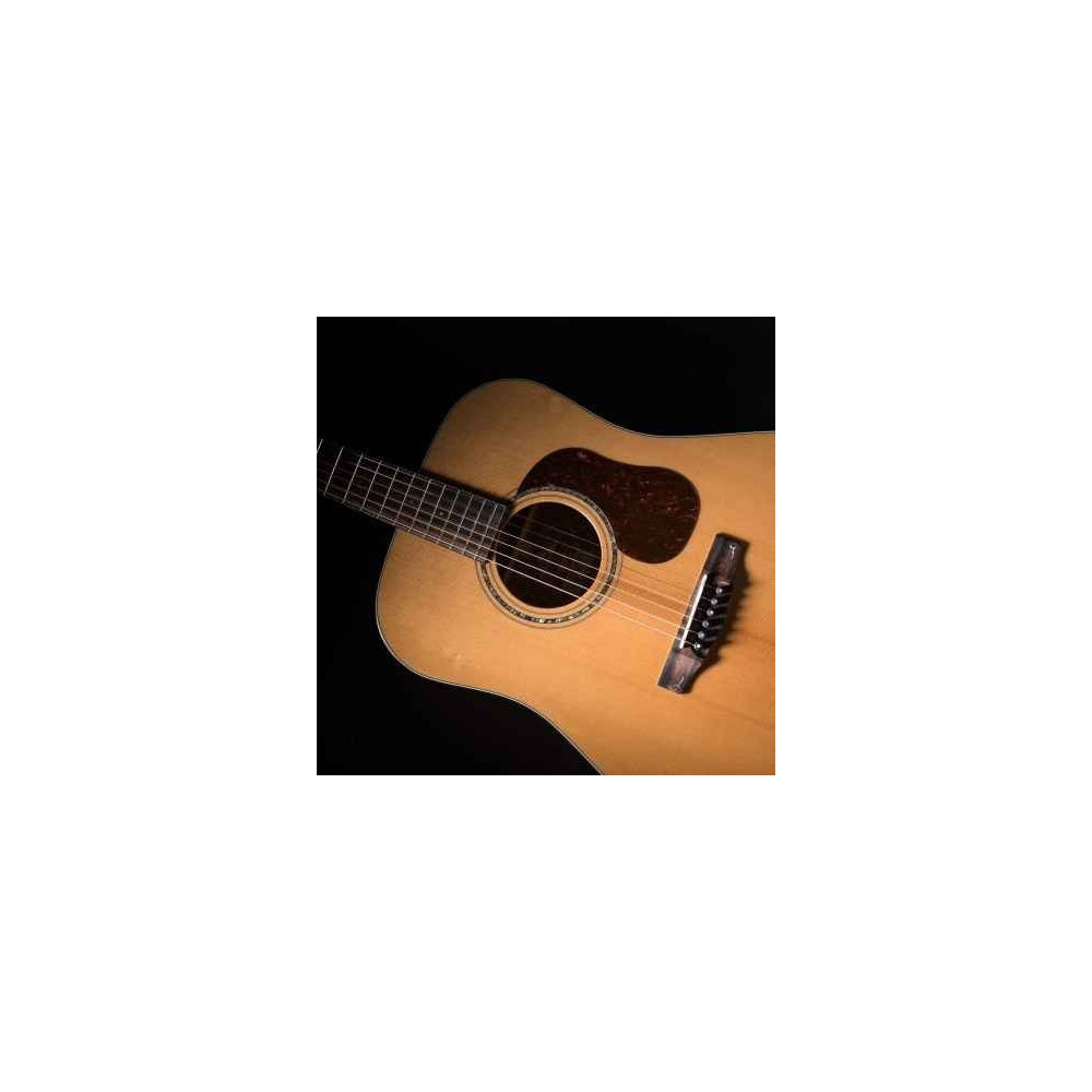Cort GOLD Series D6 Acoustic Guitar | Tone of Quality & Affordability