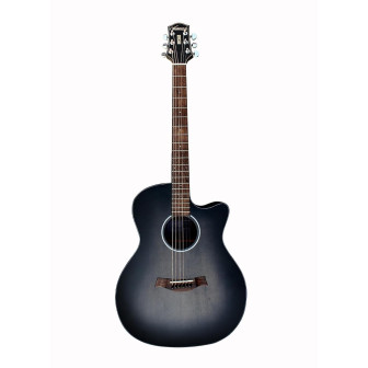 Westwood AC10 Acoustic Guitar