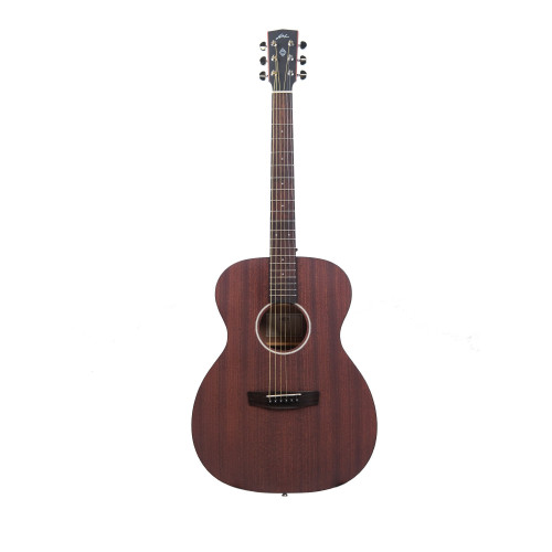 Hex F72M Acoustic Guitar