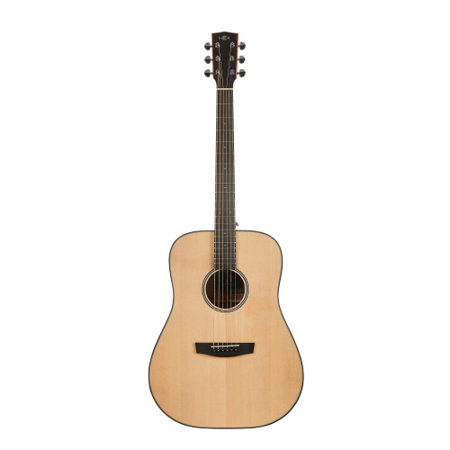 Hex Hive Series D100M  Acoustic Guitar