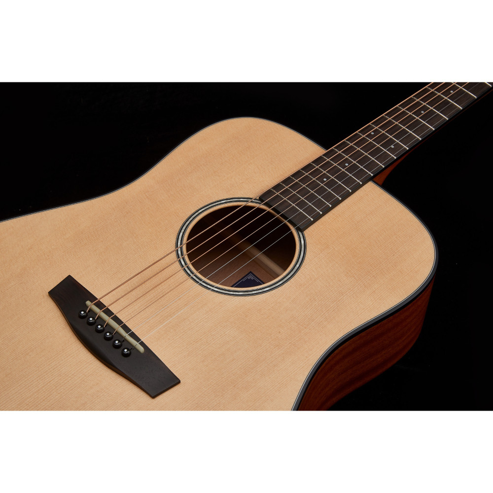 Get Professional Sound Quality with the Hex Hive Series D100M Acoustic Guitar