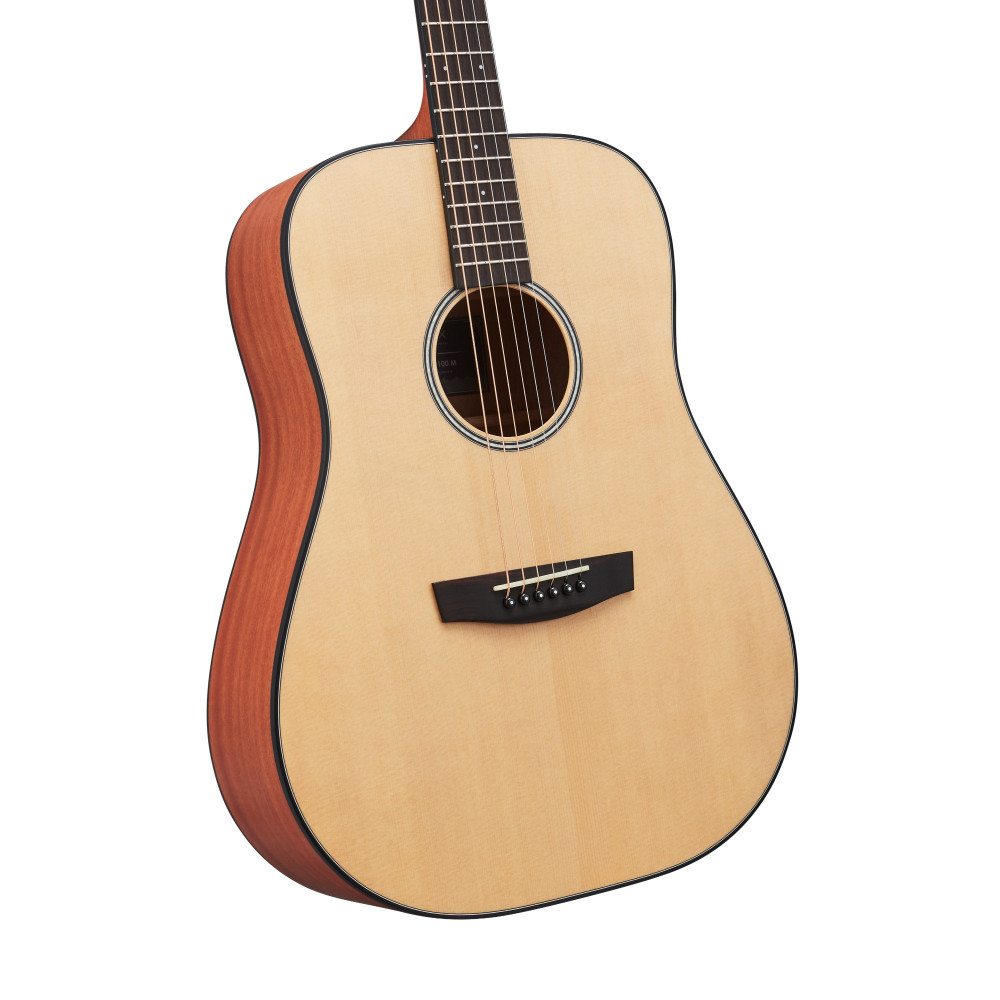 Get Professional Sound Quality with the Hex Hive Series D100M Acoustic Guitar