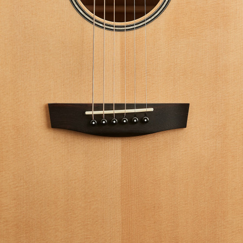 Get Professional Sound Quality with the Hex Hive Series D100M Acoustic Guitar