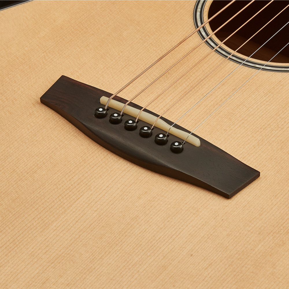 Get Professional Sound Quality with the Hex Hive Series D100M Acoustic Guitar
