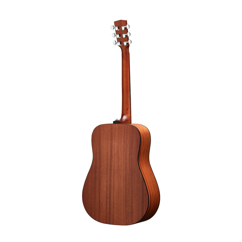 Get Professional Sound Quality with the Hex Hive Series D100M Acoustic Guitar