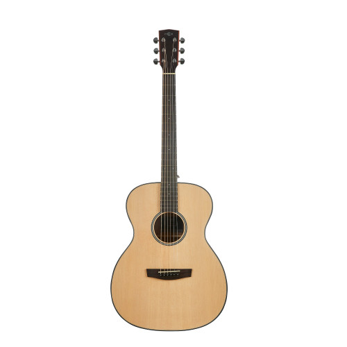 Hex Hive Series F100M OM Shape Acoustic Guitar