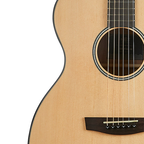 HEX Hive Series F100M OM Shape Acoustic Guitar - Professional Quality Sound