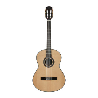 Hex Pollen Series C100M Classical Guitar