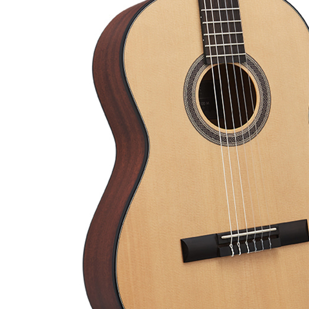 HEX Pollen Series C100M Classical Guitar | Turn Heads & Make Music Now