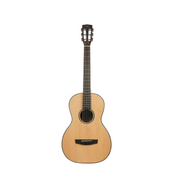 Hex Pollen Series P100M Classical Guitar