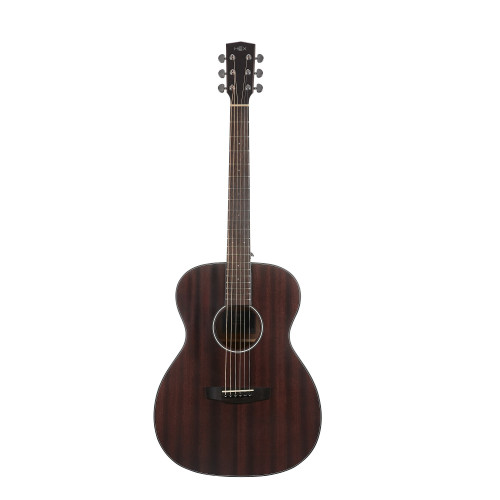 Hex Hive Series F120M OM Shape Acoustic Guitar