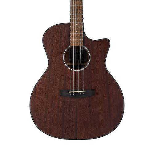 Hex Hive Series GA120CM Acoustic Guitar