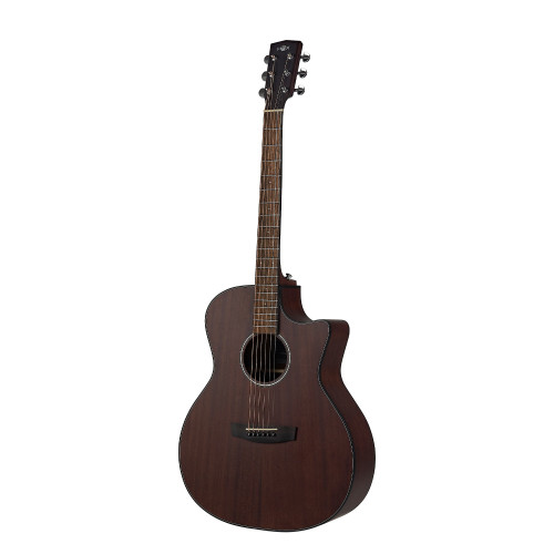 Hex Hive Series GA120CM Acoustic Guitar