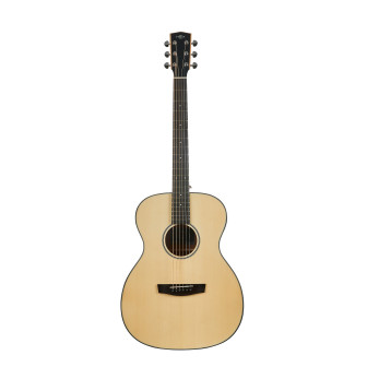 Hex Sting Series F200M Acoustic Guitar