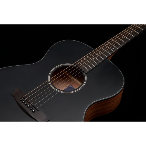 Hex Sting Series F200M/BT Acoustic Guitar